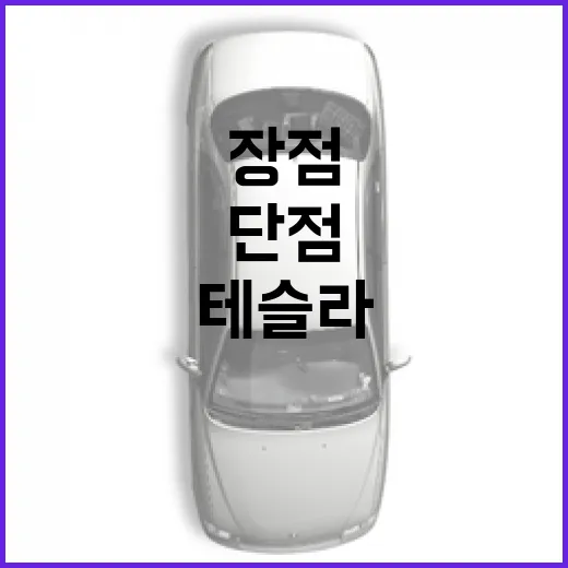 테슬라 모델Y를 알아가는 방법: 장점과 단점 - 요약