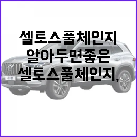 셀토스 풀체인지, 알아두면 좋은 5가지 변화 - 요약