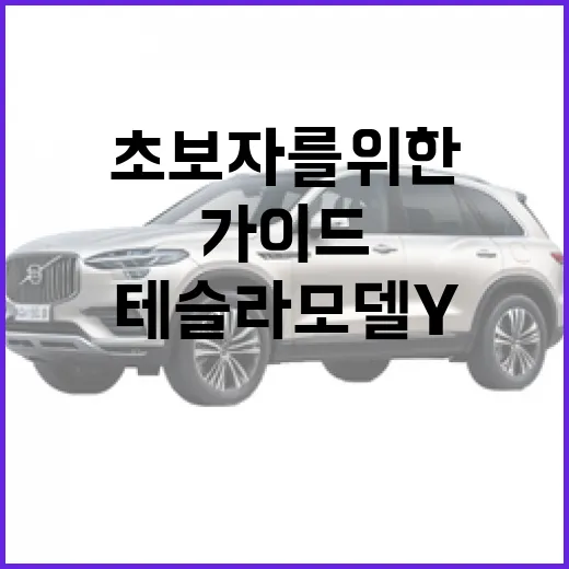 초보자를 위한 테슬라 모델 Y 선택 가이드 - 요약