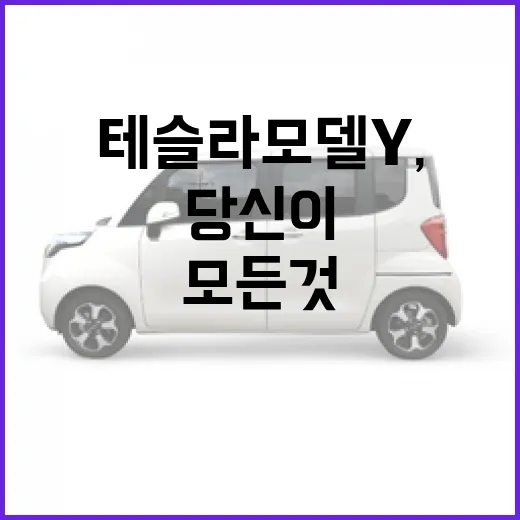 테슬라 모델Y, 당신이 궁금해할 모든 것 - 요약