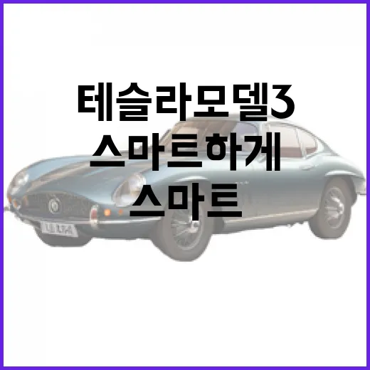 테슬라 모델3를 스마트하게 선택하는 방법 - 요약