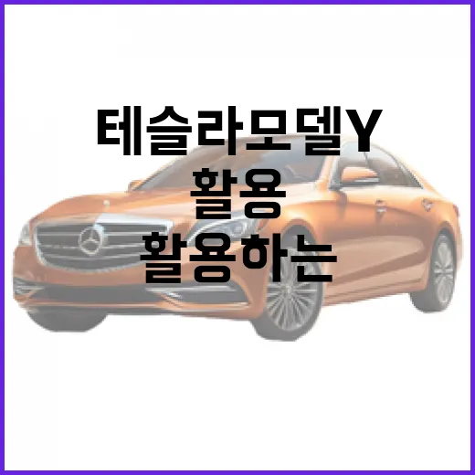 테슬라 모델Y를 잘 활용하는 방법 - 요약