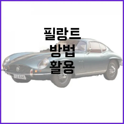 필랑트를 활용한 스마트한 생활 관리 방법 - 요약