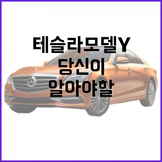 테슬라 모델Y, 당신이 알아야 할 모든 것 - 요약
