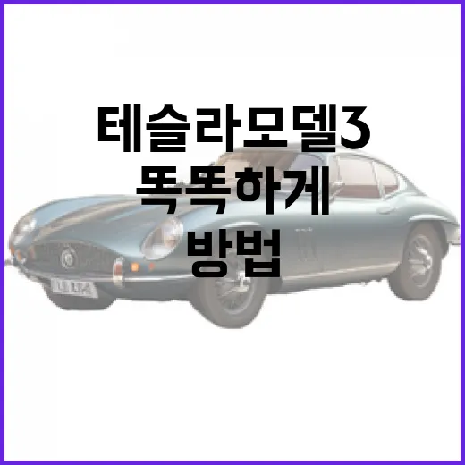 테슬라 모델3를 더 똑똑하게 활용하는 방법 - 요약