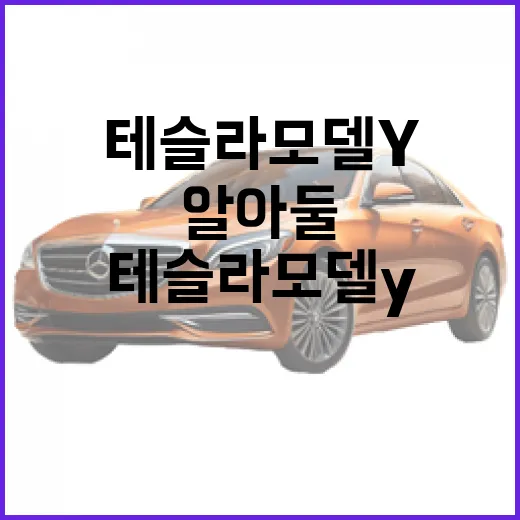 테슬라 모델 Y, 구매 전 알아둘 것들 - 요약