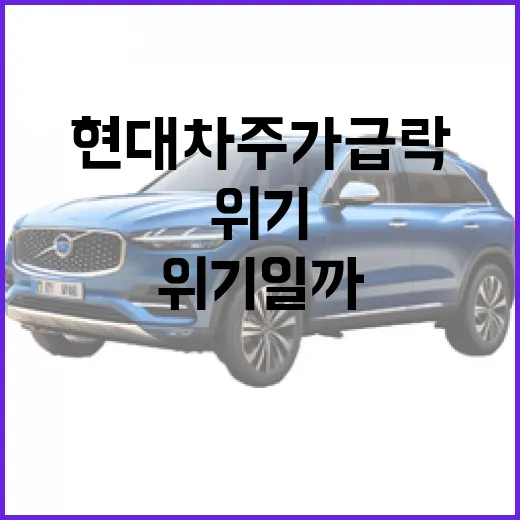 현대차 주가 급락, 정말 위기일까요? - 요약