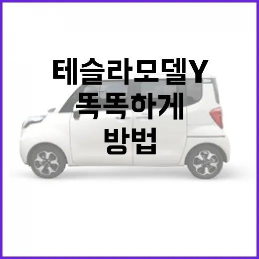 테슬라 모델Y를 똑똑하게 선택하는 방법 - 요약