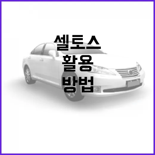 셀토스 제대로 활용하는 방법 - 요약