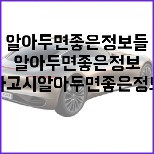 펠리세이드 사고 시 알아두면 좋은 정보들 - 요약