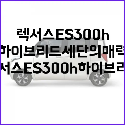 GV90: 알면 유용한 정보들 - 요약