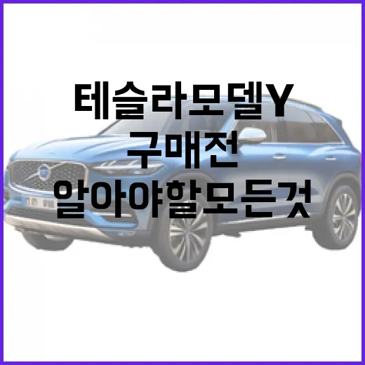 테슬라 모델Y, 구매 전에 알아야 할 모든 것 - 요약