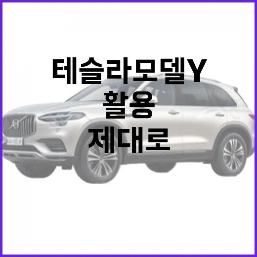 테슬라 모델Y를 제대로 활용하는 방법 - 요약
