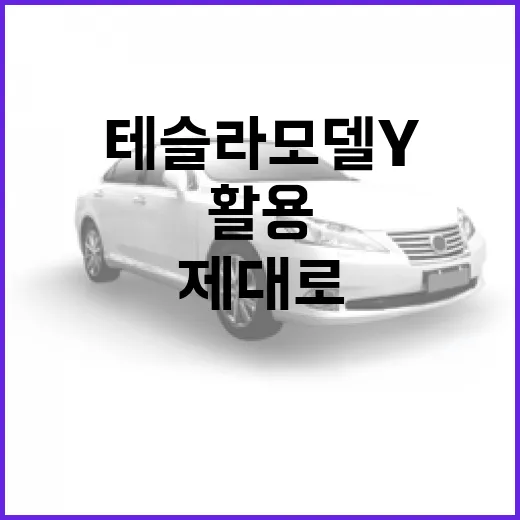 테슬라 모델Y를 제대로 이해하고 활용하는 방법 - 요약