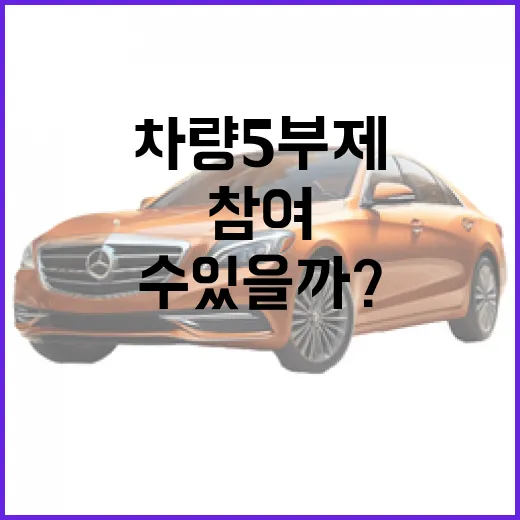 차량5부제, 어떻게 하면 더 효과적으로 참여할 수 있을까? - 요약