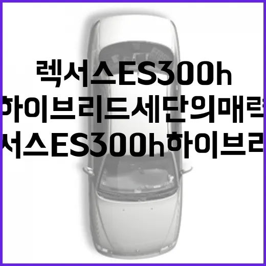 렉서스 ES300h, 하이브리드 세단의 매력 탐구 - 요약