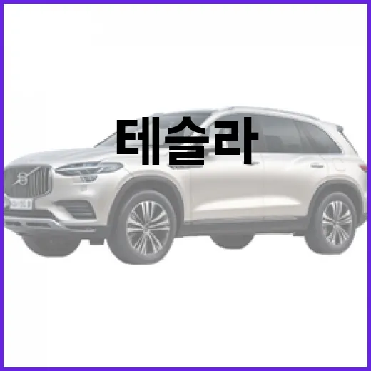 테슬라 YL: 전기차 혁명을 이끄는 방법 - 요약