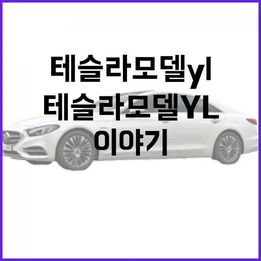 테슬라 모델 YL, 알고 타면 더 재밌는 이야기 - 요약