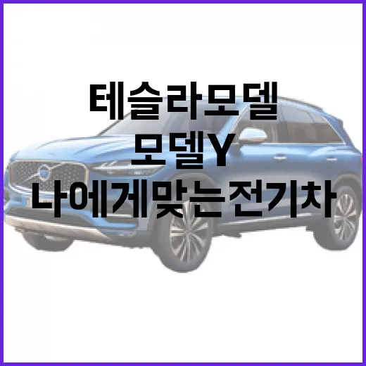 테슬라 모델 Y를 선택하는 방법: 나에게 맞는 전기차 찾기 - 요약