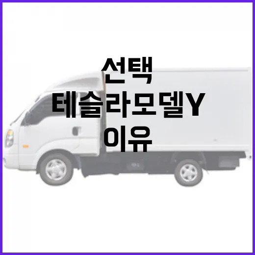 테슬라 모델Y를 선택하는 이유와 고려할 점 - 요약