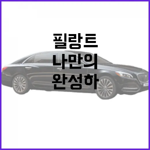 필랑트를 활용하여 나만의 스타일을 완성하는 방법 - 요약