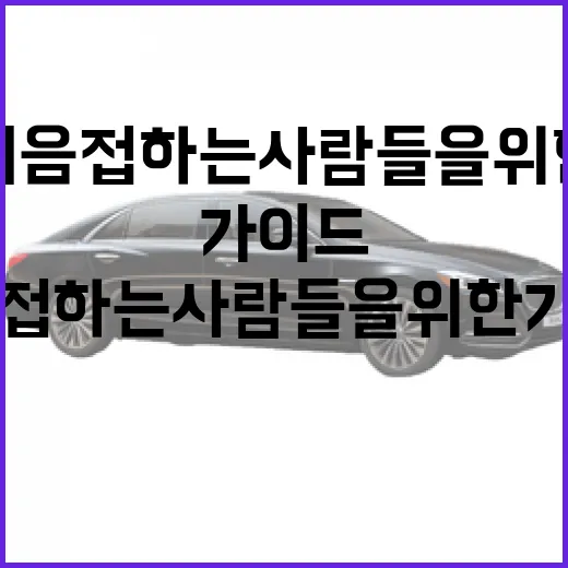 테슬라를 처음 접하는 사람들을 위한 가이드 - 요약