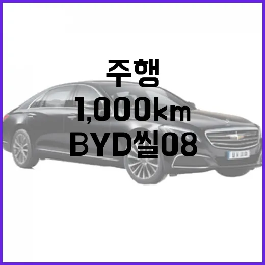 BYD 씰 08로 1,000km 주행하기: 실제 경험과 팁 - 요약