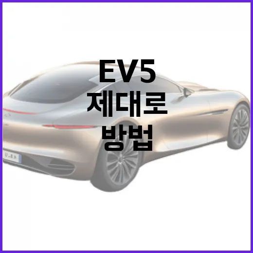 EV5를 제대로 이해하고 활용하는 방법 - 요약