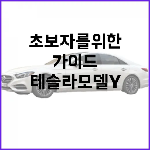 테슬라 모델Y, 초보자를 위한 완벽 가이드 - 요약