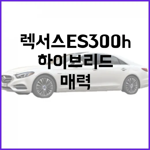 렉서스 ES300h, 하이브리드의 매력에 빠져보세요 - 요약
