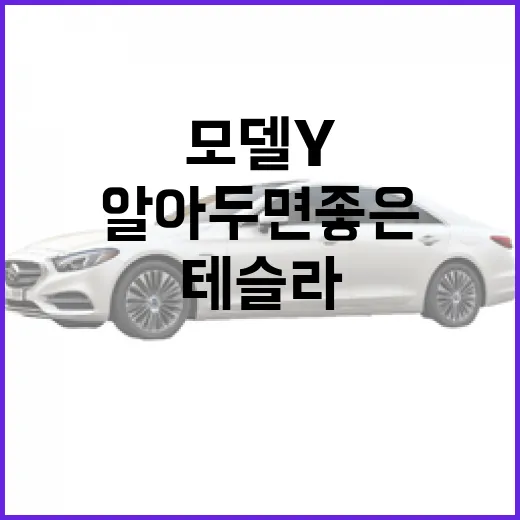테슬라 모델Y, 알아두면 좋은 팁 - 요약