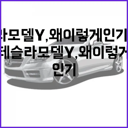 테슬라 모델Y, 왜 이렇게 인기일까? 알아야 할 점들 - 요약