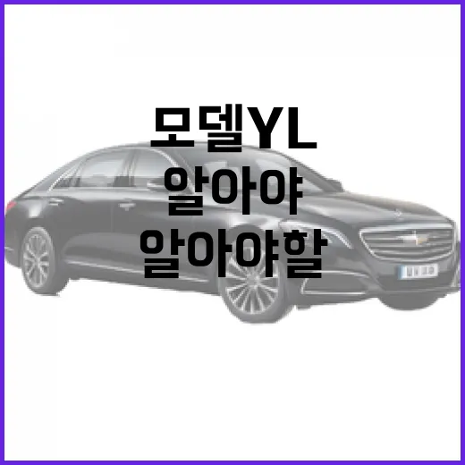 모델 YL에 대해 알아야 할 모든 것 - 요약