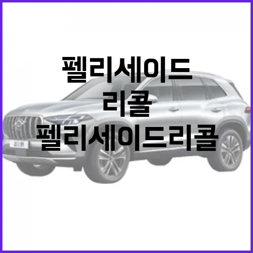펠리세이드 리콜, 이렇게 대응하세요 - 요약