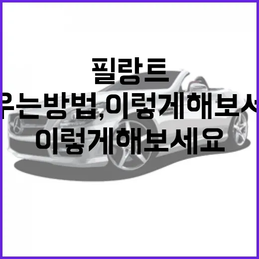 필랑트를 키우는 방법, 이렇게 해보세요! - 요약