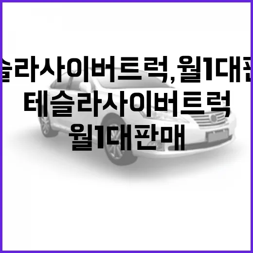 테슬라 사이버트럭, 월 1대 판매의 이유와 비하인드 스토리 - 요약
