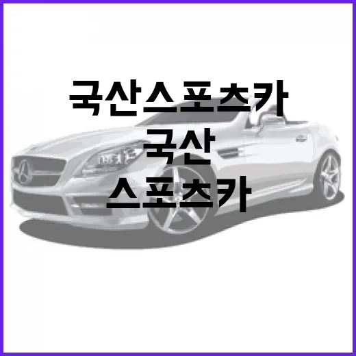 국산 스포츠카, 이렇게 선택하세요! - 요약