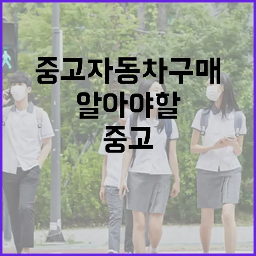 중고자동차 구매를 고민 중이라면 알아야 할 팁 - 요약