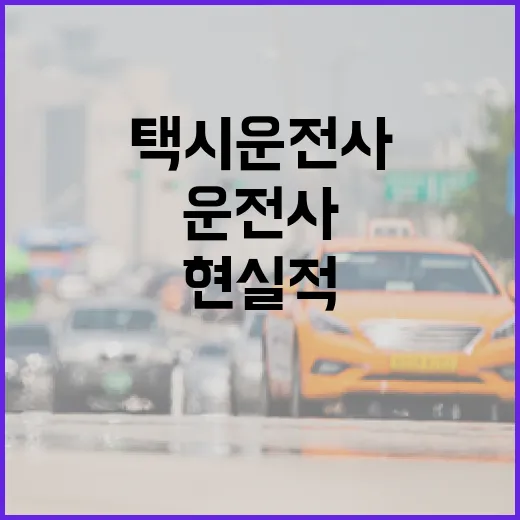 택시운전사가 되는 방법과 현실적인 조언 - 요약