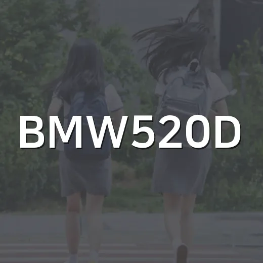 BMW520D: 알아두면 좋은 정보와 팁 - 요약
