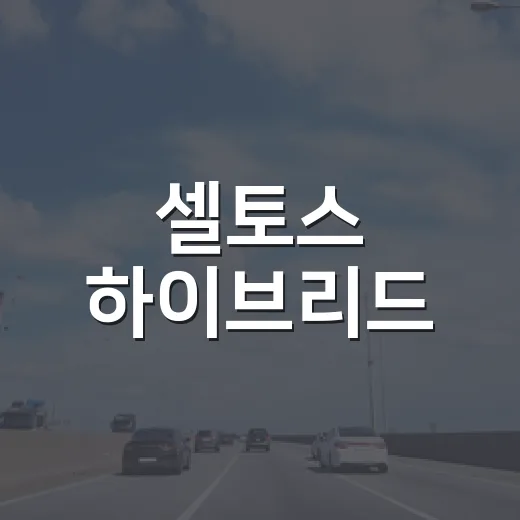 셀토스 하이브리드, 매력적인 선택이 되는 이유 - 요약