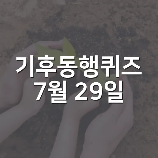 기후동행퀴즈 7월 29일, 어떻게 준비해야 할까? - 요약