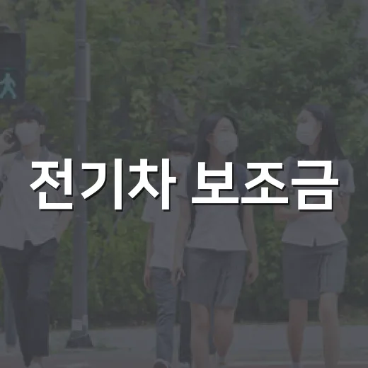 전기차 보조금, 놓치지 말고 활용하는 방법! - 요약