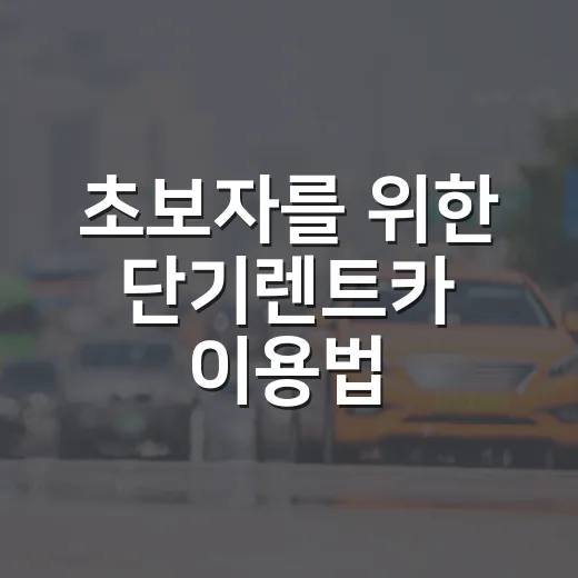 초보자를 위한 단기렌트카 이용법 - 요약