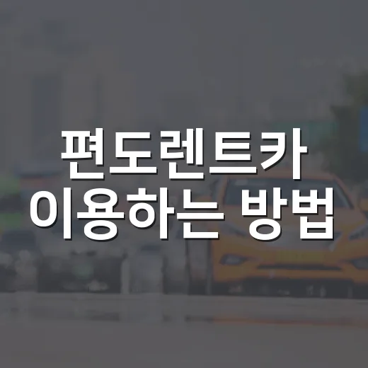 편도렌트카 이용하는 방법: 알차게 활용하기 - 요약