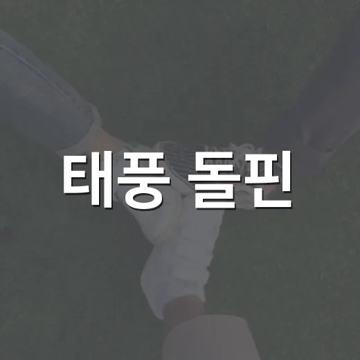 태풍 돌핀, 안전하게 대비하는 방법 - 요약