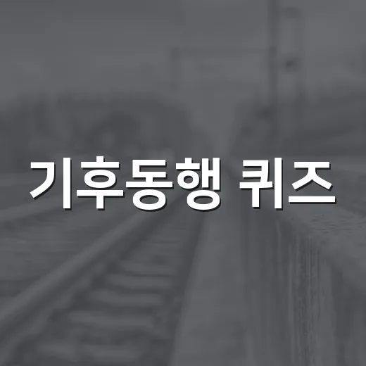 기후동행 퀴즈: 8월 8일 정답을 알아보는 방법 - 요약