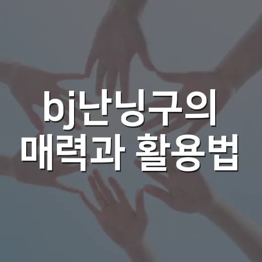 bj난닝구의 매력과 활용법 - 요약