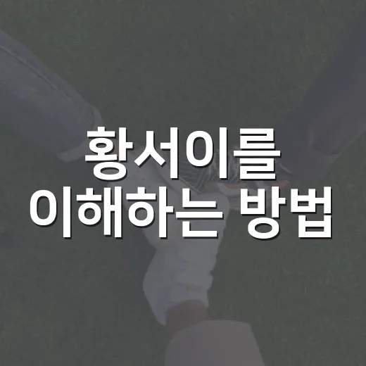 황서이를 이해하는 방법: 초보자를 위한 지침 - 요약