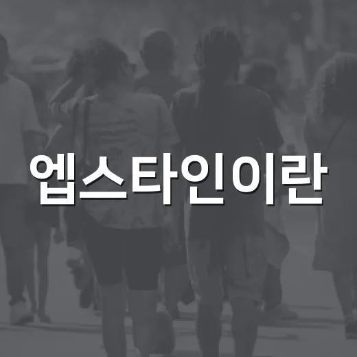엡스타인이란? 생활 속 활용 방법 알아보기 - 요약